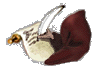 Nb246.gif (3843 bytes)
